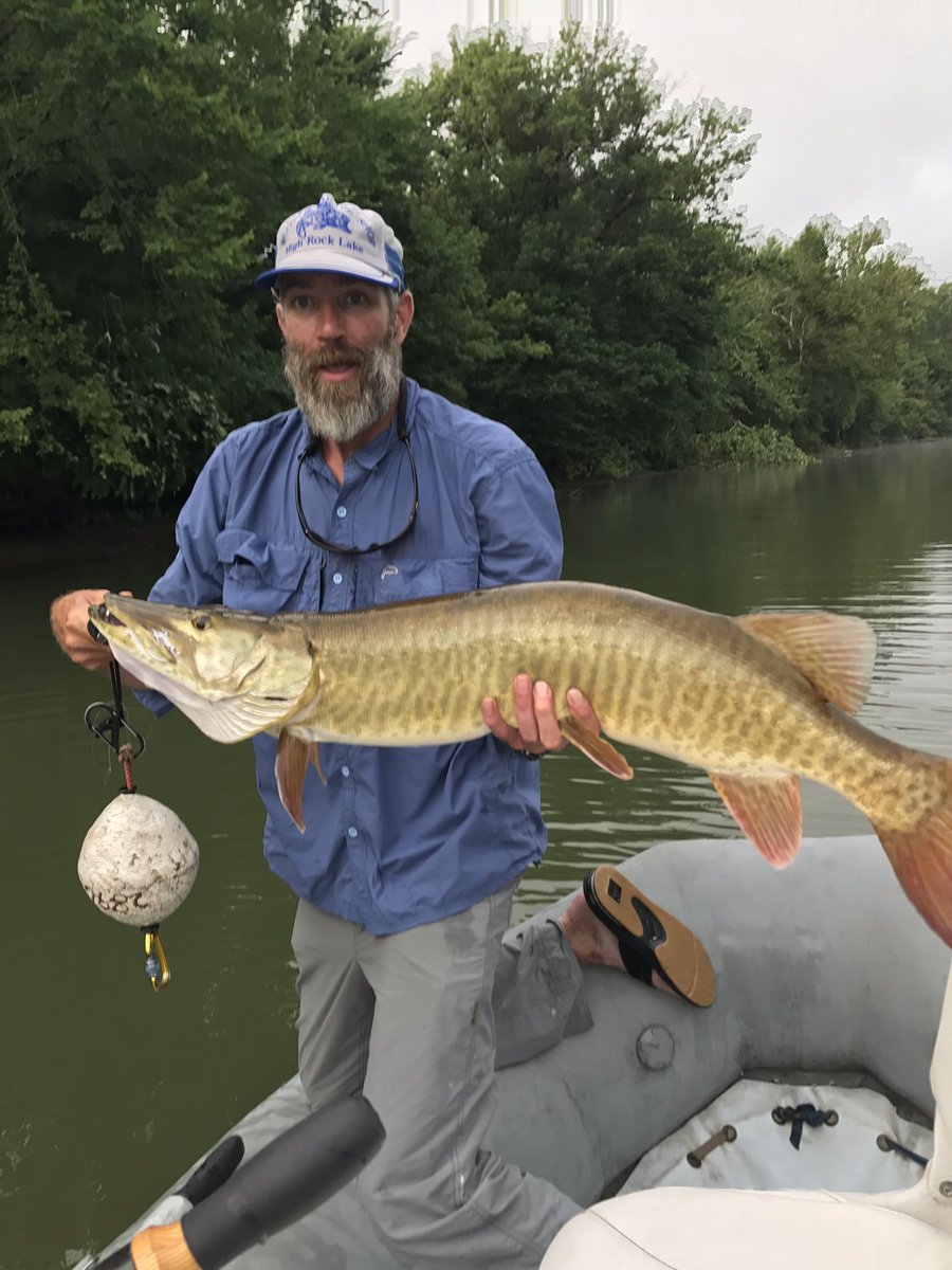 Bryan Alderman tweet media