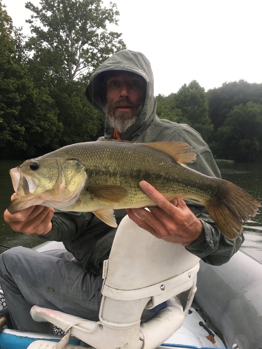 Bryan Alderman tweet media