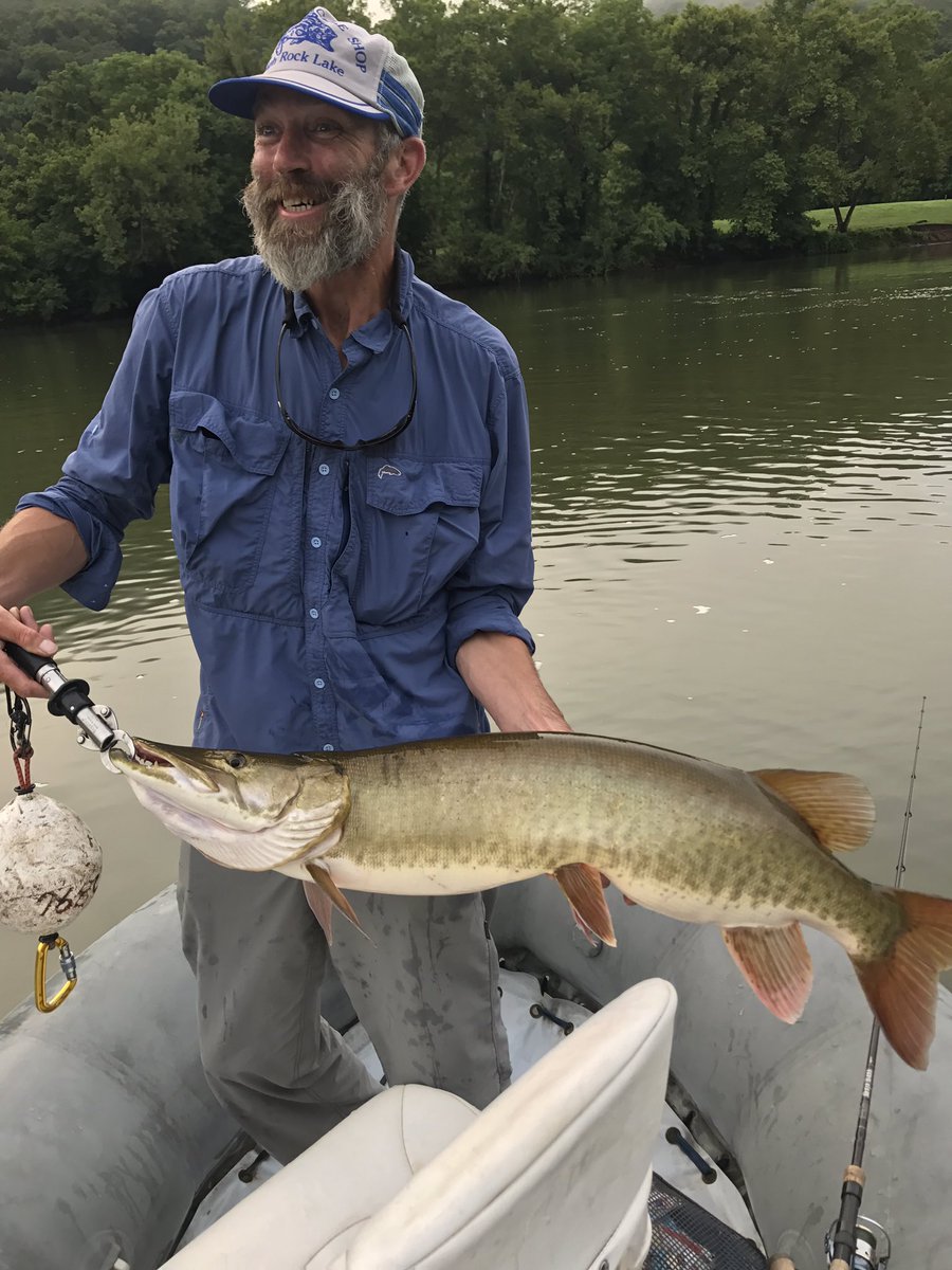 Bryan Alderman tweet media