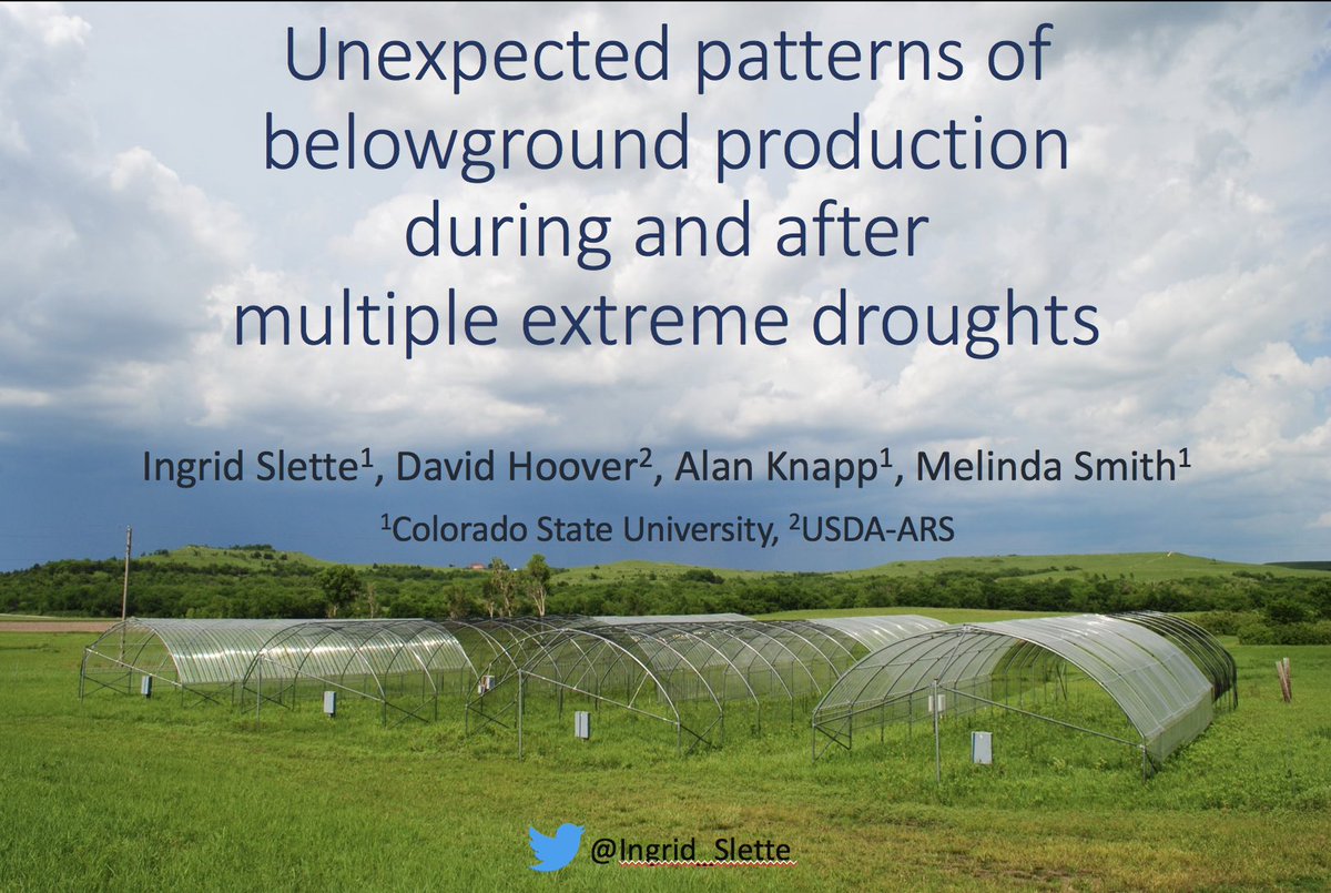 Ingrid Slette, PhD tweet media