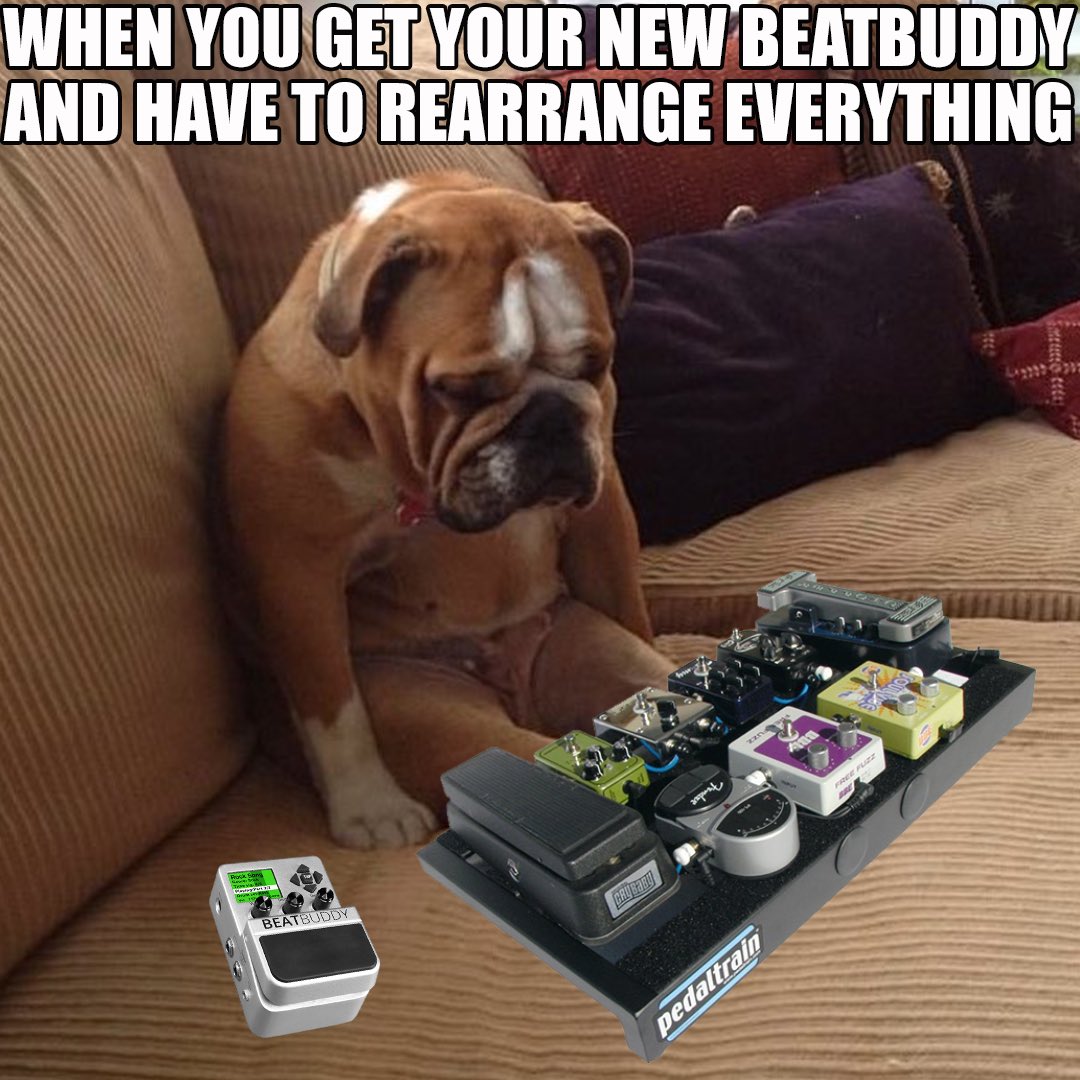 😭🐶🎛