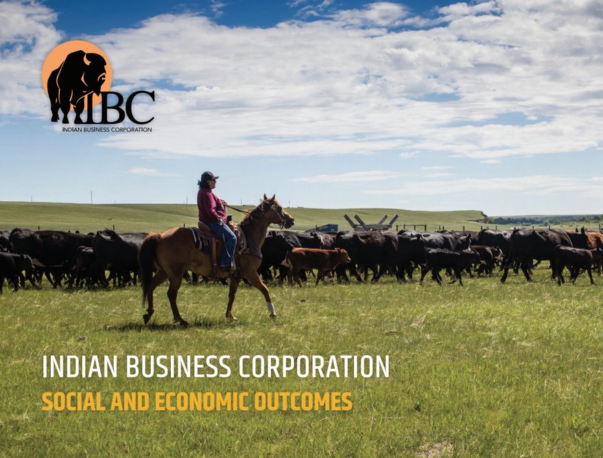 TerrapinSF's tweet photo. @AndrewBellBNN New IBC Report Links Social Finance and Indigenous Health https://t.co/7A2ugDMEAq https://t.co/I8w3becs20