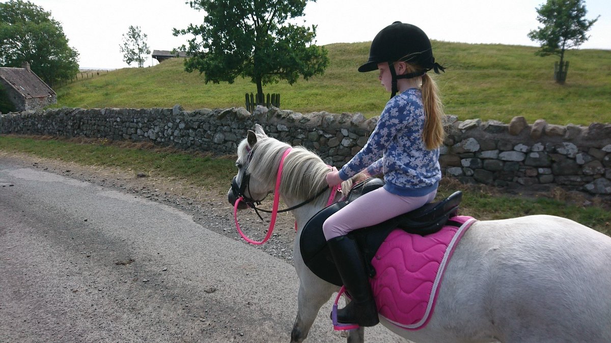 JillyRobson1's tweet image. Best bit of growing up on the farm #farm24 @tony6290