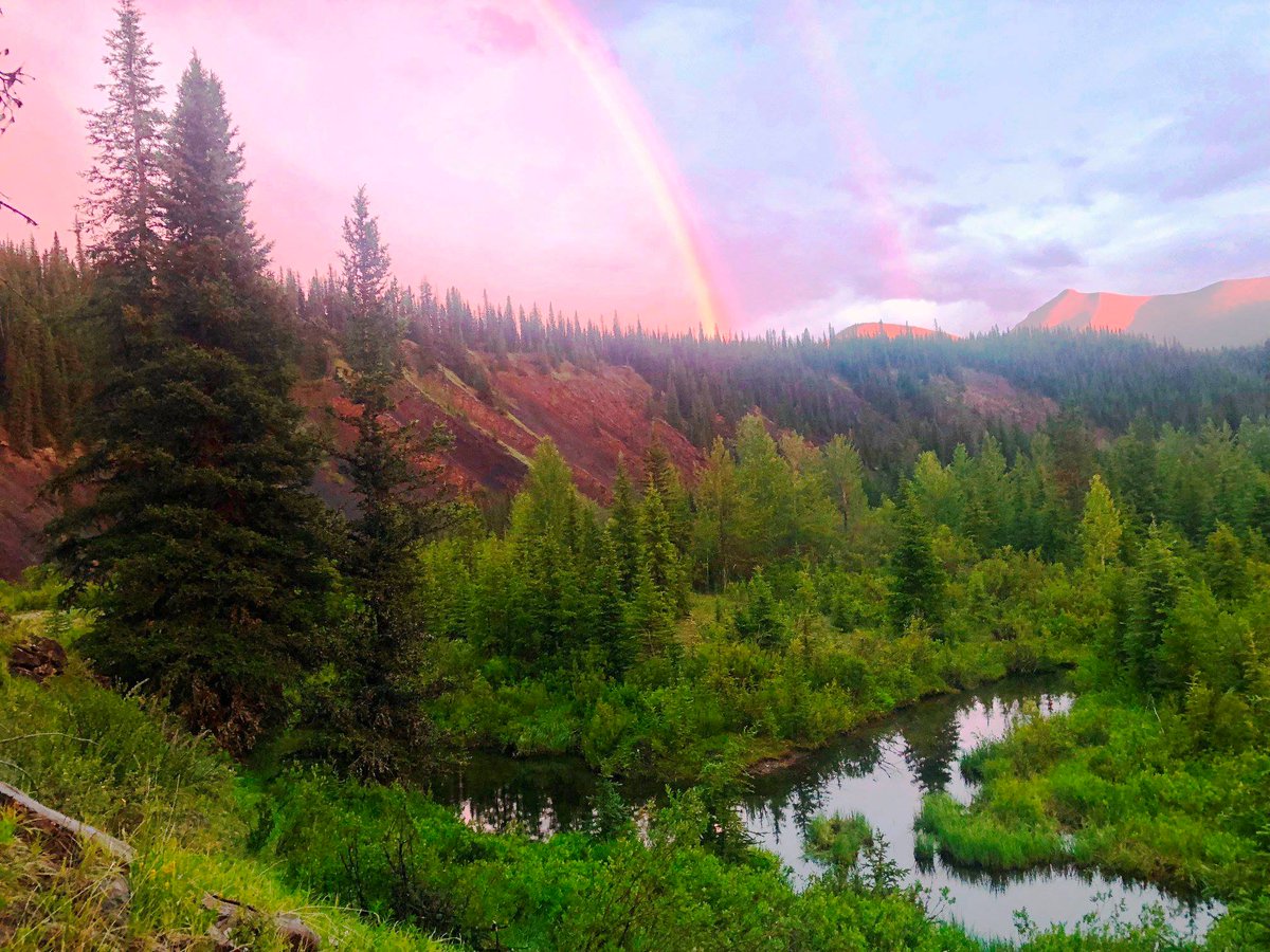 Alberta Parks tweet media