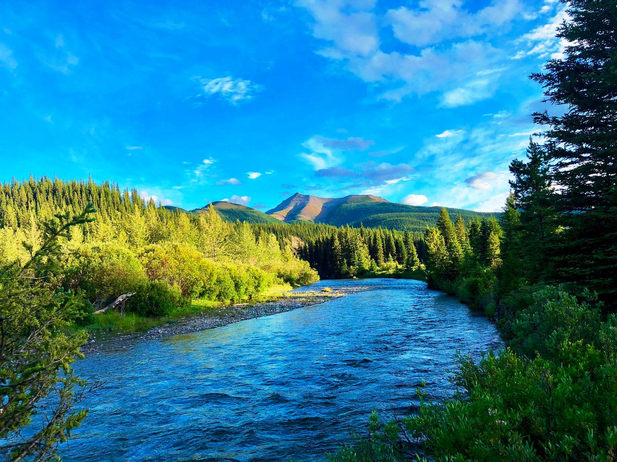 Alberta Parks tweet media