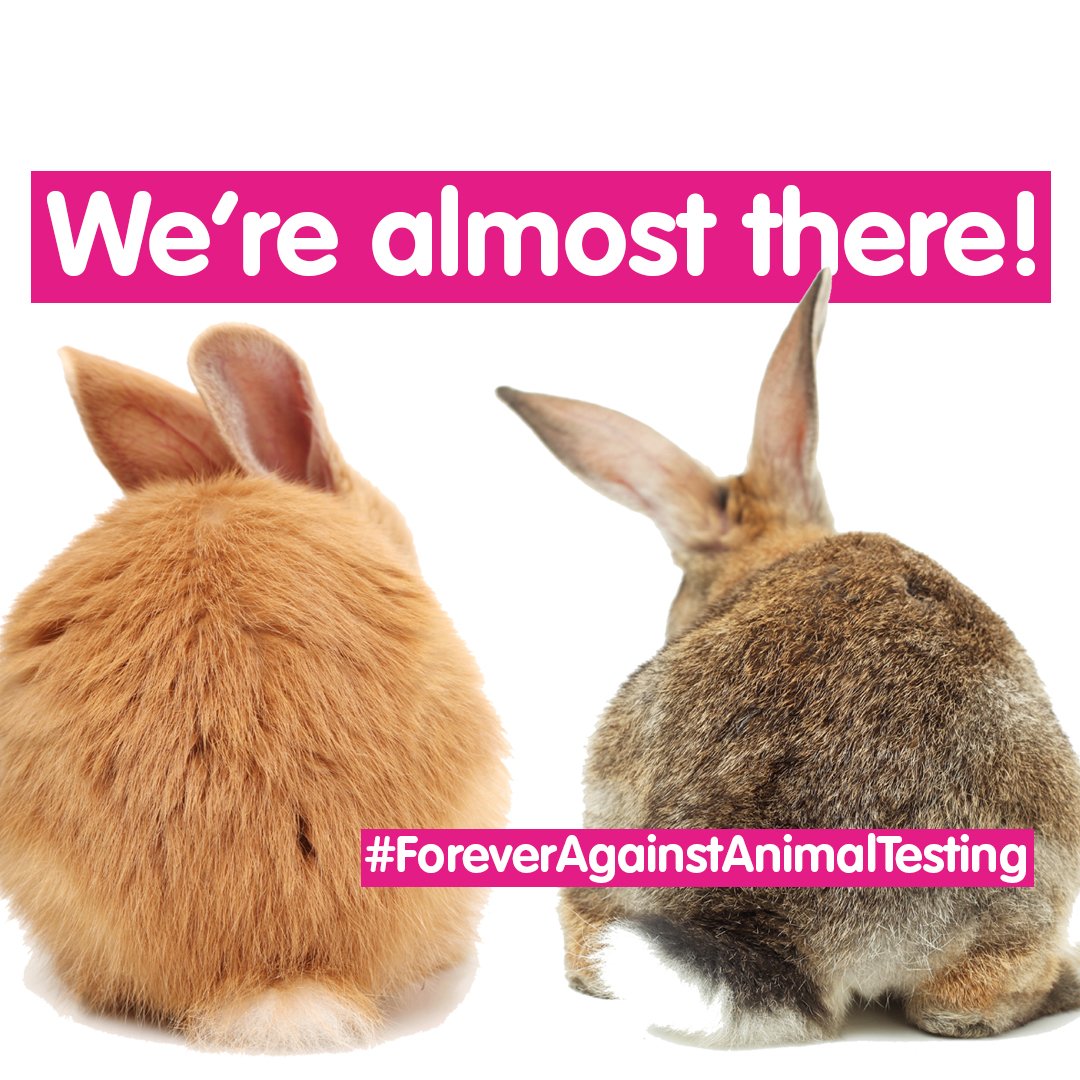 CrueltyFreeIntl's tweet image. We&apos;re SO close to 8 million signatures on our petition to end cosmetics testing on animals everywhere and forever! 📋 Be a part of history and show you are #ForeverAgainstAnimalTesting by signing &amp;amp; sharing the petition today: bit.ly/2NLKdCj @TheBodyShop