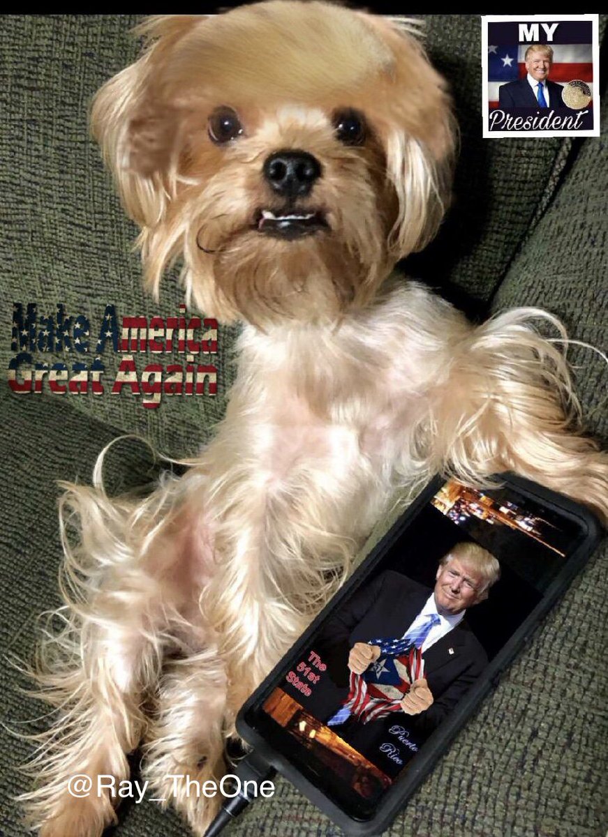 AARW_'s tweet photo. @realDonaldTrump Mr President! We applaud your determination &amp; success 2 fix all that’s broken in the US!It will be remebered by  generations! BUT,if you make Puerto Rico a STATE, you will be immortalized with a new star in the US Flag!!That is our dream &amp; your biggest challenge! https://t.co/HHY6Sqe775