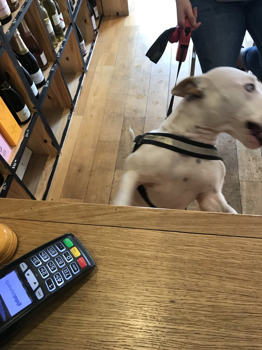 Here we see young Dexter (Over 18 of course) before and after hearing that we have new wines in the enomatic. It seems that he has had a ruff day. Come and enjoy our wines on such a lovely day! *Insert second bad dog pun here*