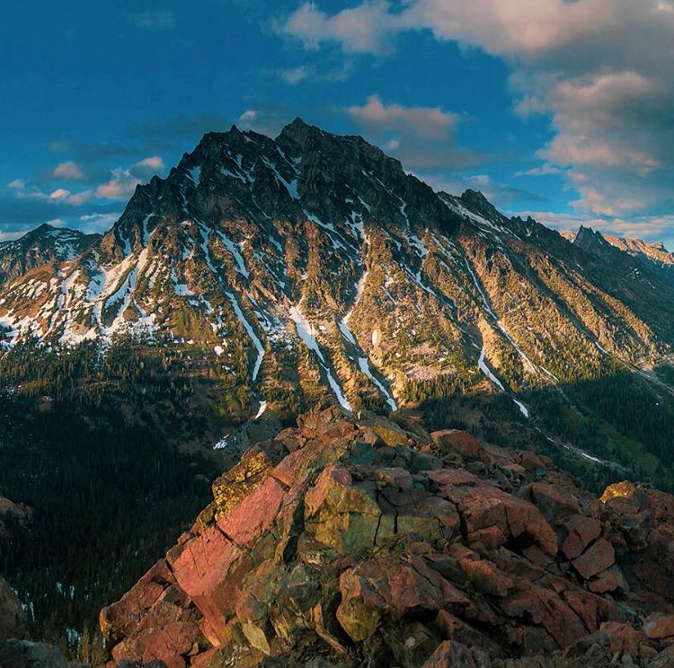 mt_stuart's tweet image. No caption needed!