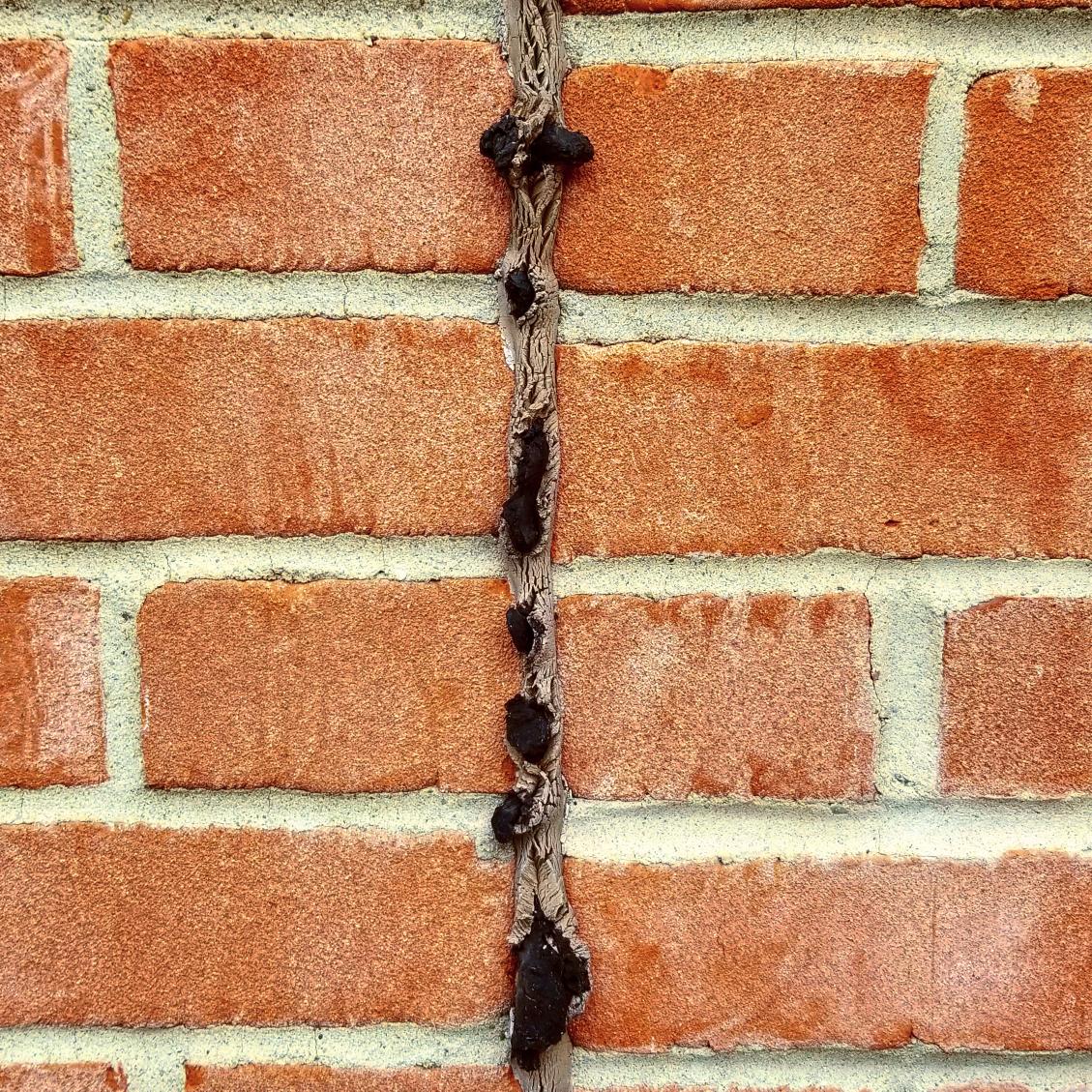 _TheMoMo's tweet photo. Texture of the day- Brick Wall

#textures #textureaday #photooftheday #pattern #naturalpatterns #design #architecture #brick #red #themomo https://t.co/IrAfR4O30I