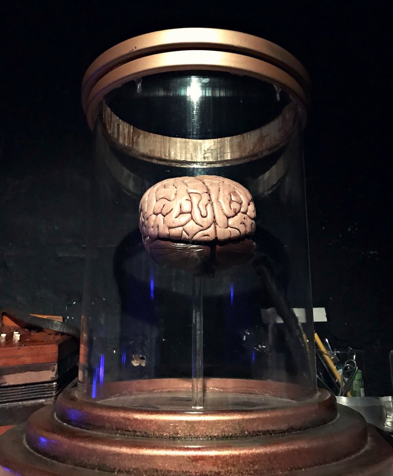 The BRAAAAINN there is nothing like the brain! 🧠
On a side note...there is also nothing like Young Frankenstein so don't be daft and miss us, must end 25 August!
