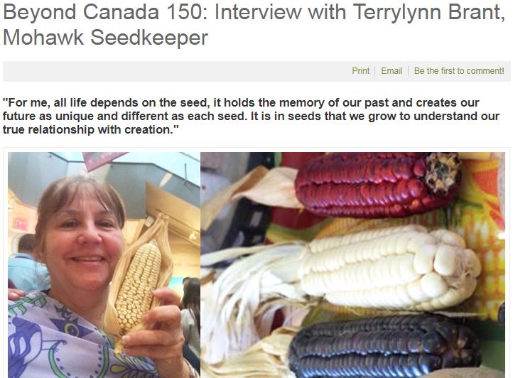 Seedmaporg's tweet photo. It's #IndigenousDay Let's celebrate Indigenous peoples around the world who have always and continue to carefully nurture the #seeddiversity we all depend on to eat and to build our resilience against #climatechange #UNDRIP https://t.co/dI9MjKSWyN https://t.co/kHpjOcCEwY