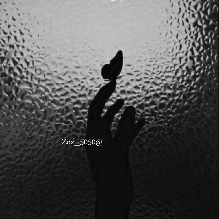 Zoz_5050's tweet photo. عندما أعفيك من عتابي !
فأنا أعفيتك من أن تكون شيأً يعنيني
فلا تفرح بصمتي فصمتي يدل
أن شيئاً في قلبي قد أنكسر 
ولن يعود كما كان✋🏻💜✨ https://t.co/rxWBKU01CZ
