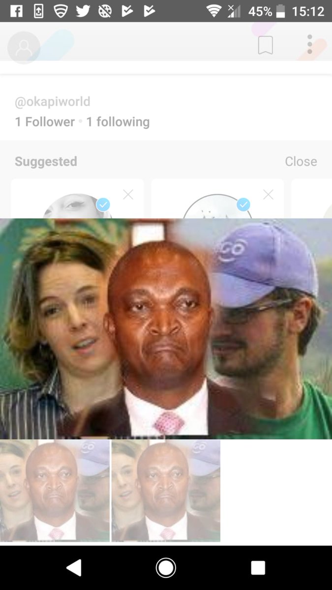 okapi world tweet media