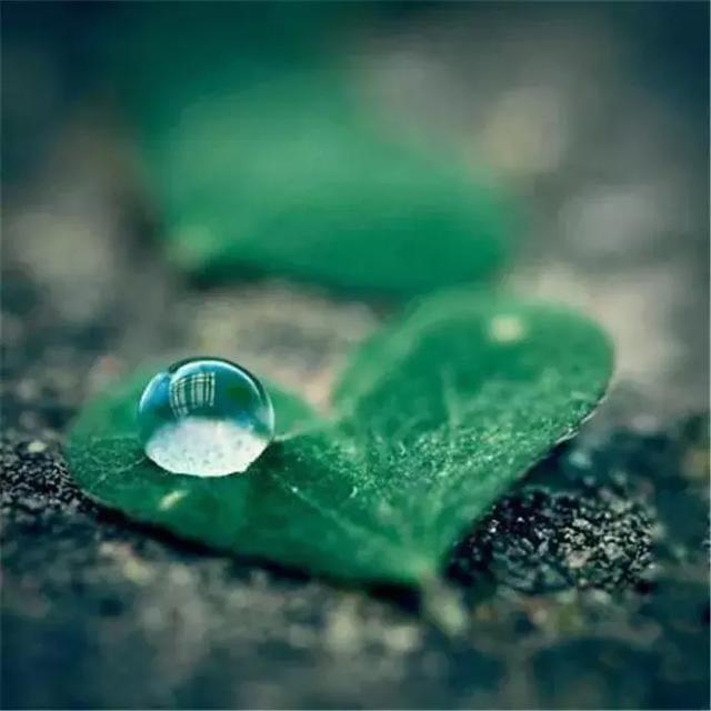 Im_Sanju_Ss tweet picture