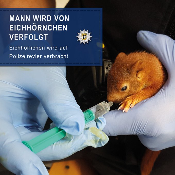 DkKkod3XoAECsKI.jpg:small