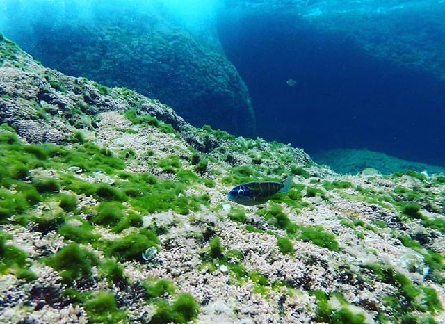alquicam's tweet photo. Alquila una #GoPro 6 desde 25€ al día, sin duda una de las mejores cámaras de acción.
https://t.co/AiSwzejJIk https://t.co/D89IxLXD6s https://t.co/7c2T64Tbfr