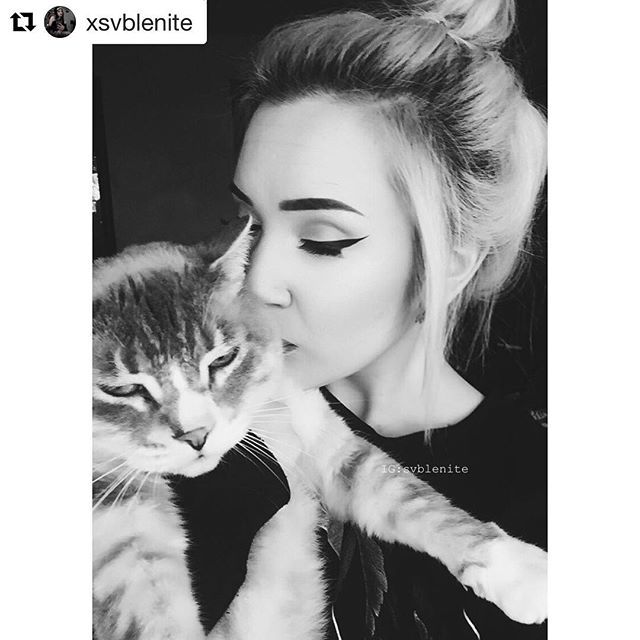 Selfies4Storm's tweet photo. @xsvblenite
Playing hard to get💖
#selfies4storm #catmeowdel #catmeowdels #kittenfeatures #cat https://t.co/uH4sIAITz8 https://t.co/bAIySKRABW
