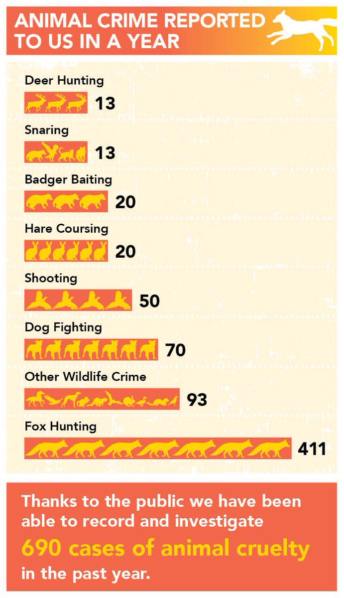 LeagueACS's tweet photo. Thanks to you, we've been able to record & investigate 690 cases of #animalcruelty in the past year & continue to receive approx.100 calls a month to our Animal Crimewatch.
To help keep this life line open, please donate to our #CallingForJustice appeal: https://t.co/npT5Sak7d7 https://t.co/j1qIQGFcWo