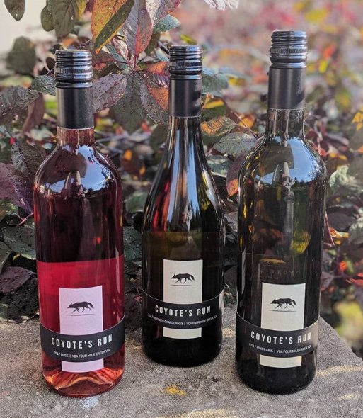 There are new releases at <a href="/coyotesrun/">Coyote's Run Winery</a> 
• 2017 Estate #PinotGris
• 2017 Estate #Rose
• 2017 Estate #UnoakedChardonnay

Great for patio, picnic, parties or just a relaxing sip by the pool!
Learn more about #CoyotesRun on #FlavourPassport here 👉 bit.ly/2FHuDam
