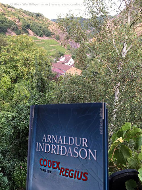 Alexografie's tweet photo. Und noch ein Lesetipp am #TagderBuchliebhaber :-) ...:
#Buch #Bücher #lesen #ArnaldurIndridason #CodexRegius #Island https://t.co/LulSjfsZ7f