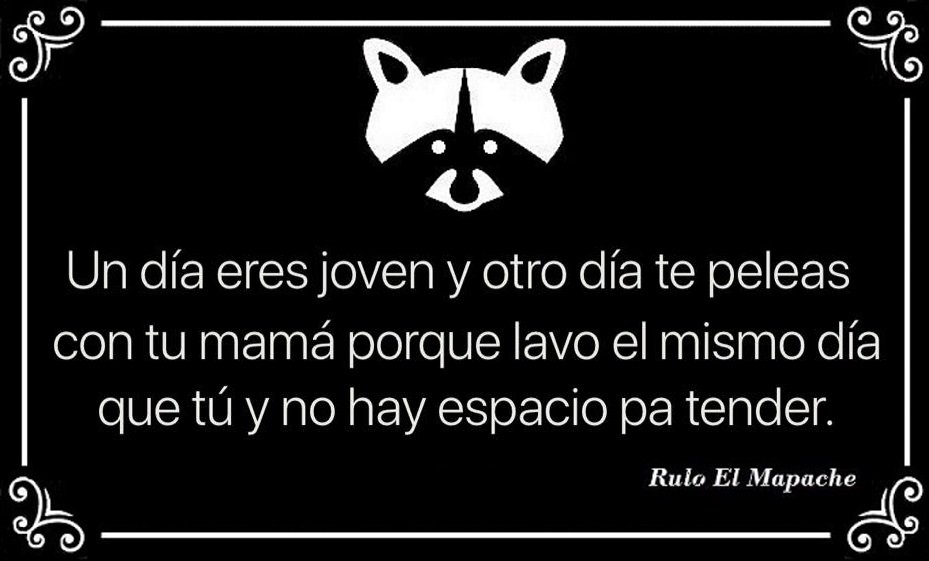 Rulo_mapache's tweet photo. #FelizJueves
#JuevesDePiernalgotas
#JuevesDeGanarSeguidores
#Jueves #ElÉxitoEs
#PeroCuandoMeConocen
#YNoMeArrepiento
#SonoraNoAlAborto
#LoMasCañonEsQue
#YoEnLaEscuela
#MiPretextoPerfecto
#YaMeAcordeCuando
#Veracruz
#EnTodasPartes
#AhoraSuena
#MeCaeQue https://t.co/HDhTpMhxDE