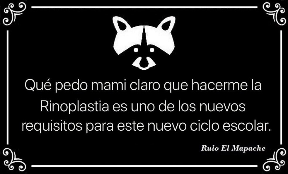 Rulo_mapache's tweet photo. #FelizJueves
#JuevesDePiernalgotas
#JuevesDeGanarSeguidores
#Jueves #ElÉxitoEs
#PeroCuandoMeConocen
#YNoMeArrepiento
#SonoraNoAlAborto
#LoMasCañonEsQue
#YoEnLaEscuela
#MiPretextoPerfecto
#YaMeAcordeCuando
#Veracruz
#EnTodasPartes
#AhoraSuena
#MeCaeQue https://t.co/HDhTpMhxDE