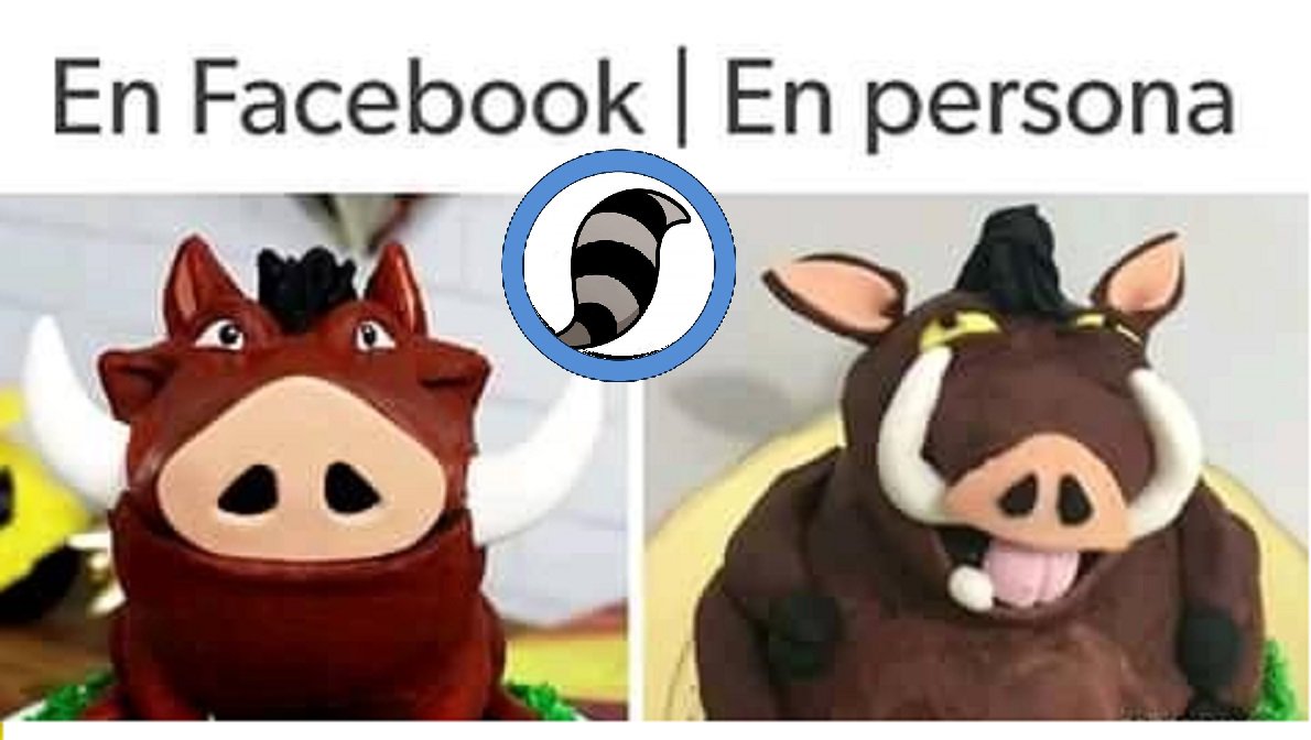 Rulo_mapache's tweet photo. #FelizJueves
#JuevesDePiernalgotas
#JuevesDeGanarSeguidores
#Jueves #ElÉxitoEs
#PeroCuandoMeConocen
#YNoMeArrepiento
#SonoraNoAlAborto
#LoMasCañonEsQue
#YoEnLaEscuela
#MiPretextoPerfecto
#YaMeAcordeCuando
#Veracruz
#EnTodasPartes
#AhoraSuena
#MeCaeQue https://t.co/aEDBiHDyEC