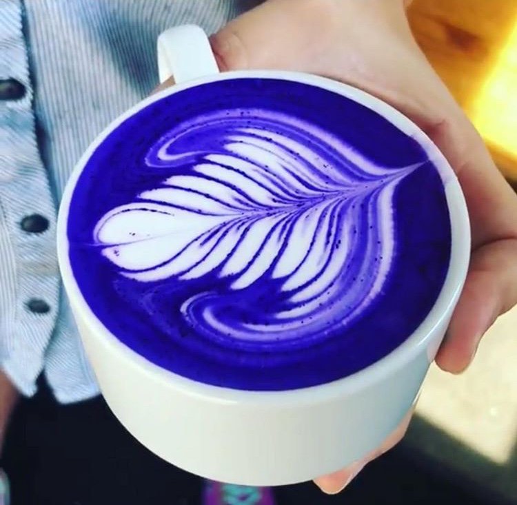 Blue lattes for our colors. Perhaps they made it special for us 😉 

#latte #latteart #coffee #coffeetime #cafe #orangecounty #losangeles #la #oc #coffeeoftheday #coffeeshop #theperfectpour