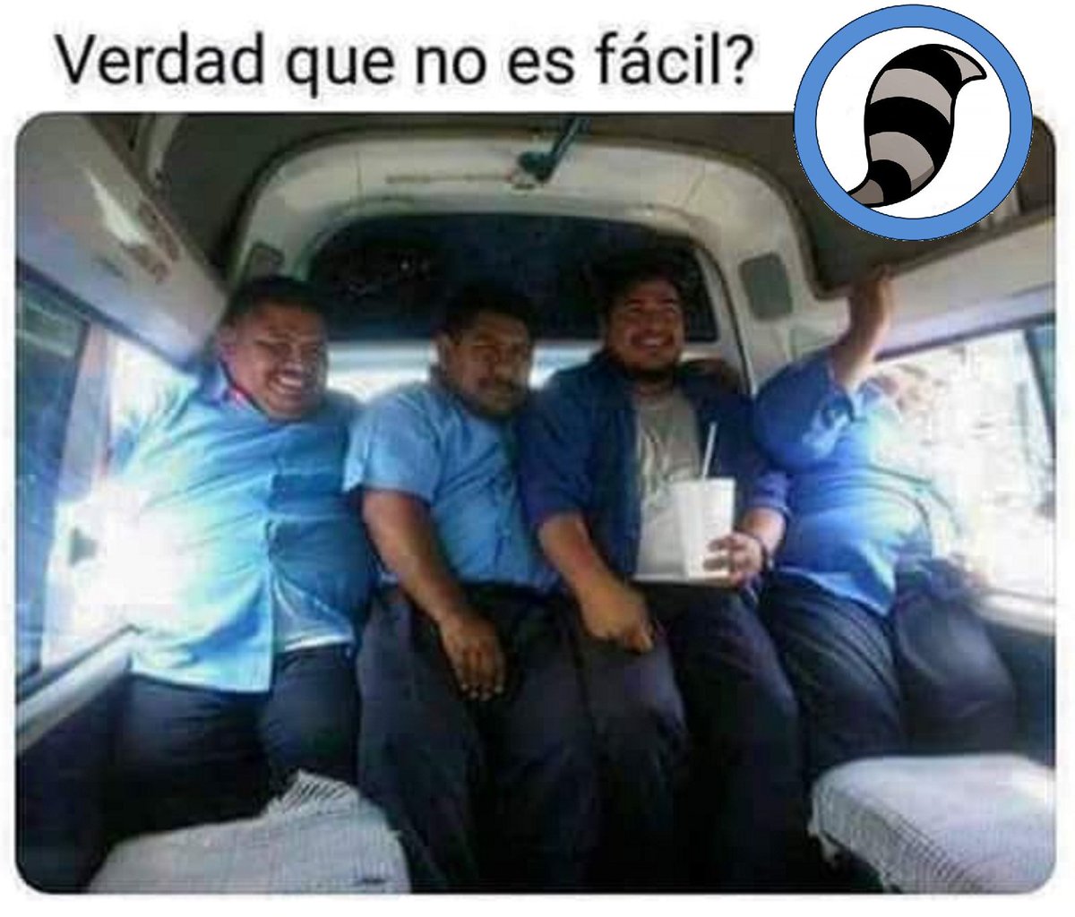 Rulo_mapache's tweet photo. #FelizJueves
#JuevesDePiernalgotas
#JuevesDeGanarSeguidores
#Jueves #ElÉxitoEs
#PeroCuandoMeConocen
#YNoMeArrepiento
#SonoraNoAlAborto
#LoMasCañonEsQue
#YoEnLaEscuela
#MiPretextoPerfecto
#YaMeAcordeCuando
#Veracruz
#EnTodasPartes
#AhoraSuena
#MeCaeQue https://t.co/C0iLaI8Nwv