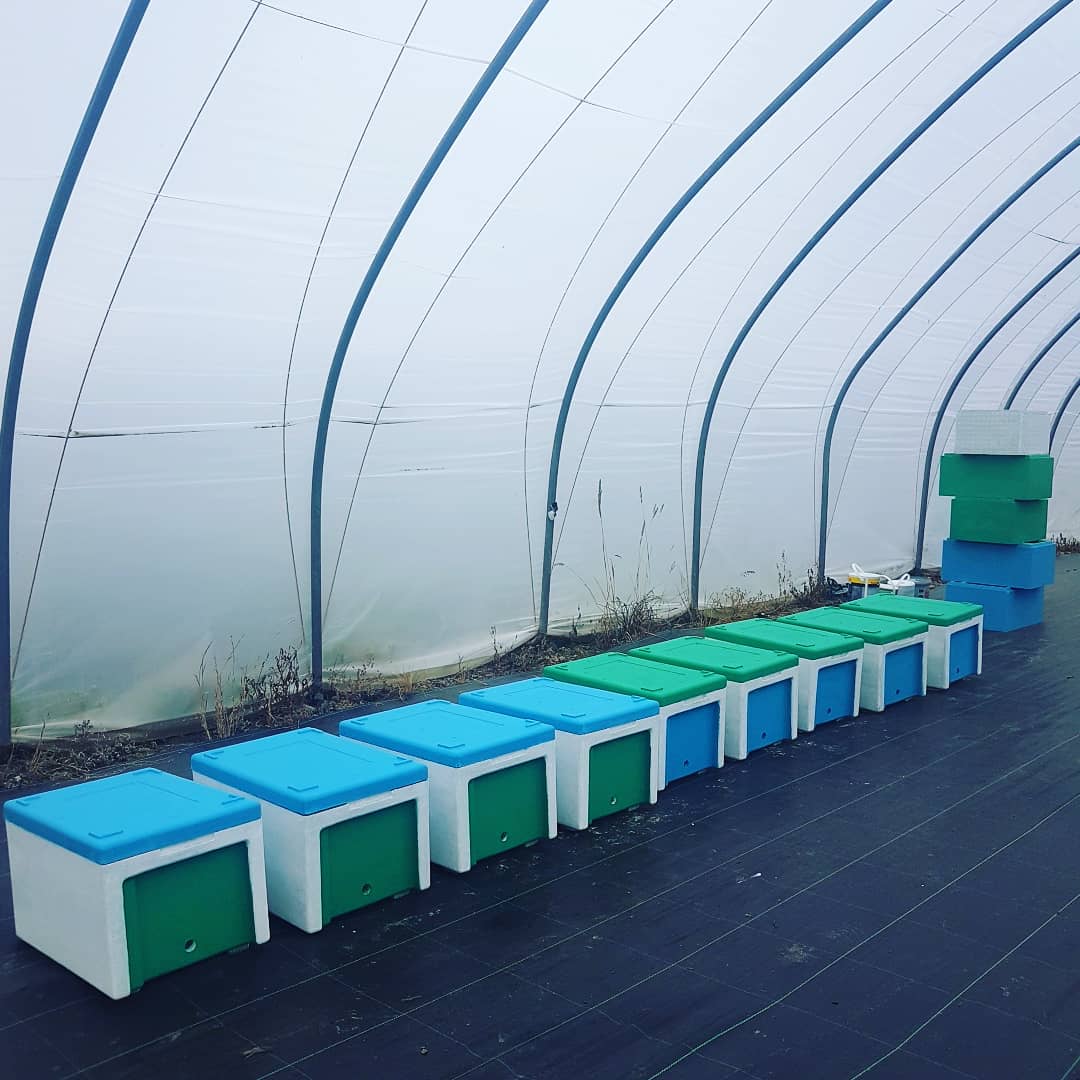 covehoneybees's tweet photo. Busy day doing the bees at the fruit farm then finishing off the @paynesbeefarm poly nucs boxes ready for the bees going into them tomorrow ready for the winter.
#paynesbeefarm #covehoneybees #polynucs #beekeeping #BeeFarmer #newhives #expanding https://t.co/2wJL662WwC