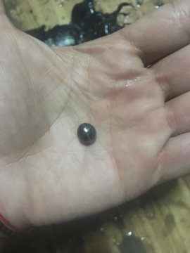 Посмотреть изображение в Твиттере