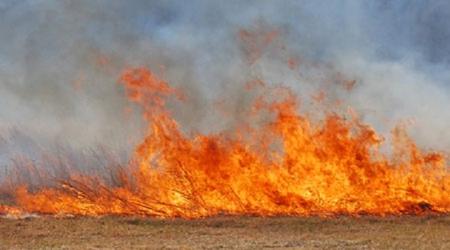 PaulGair999's tweet photo. Staff from @nottsfire have been working extremely hard throughout the county to prevent and extinguish fires started deliberately, you can help us, if you see anyone lighting fires deliberately contact the police on 101 or crimestoppers on 0800 555 111 #FiresAreNotFun https://t.co/lfyqbdTZaG