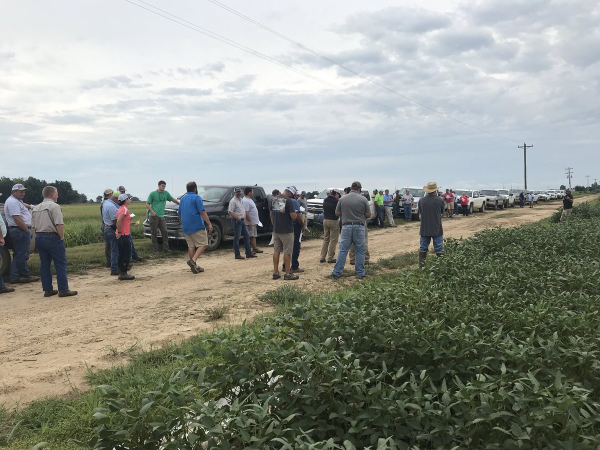 TheMikeHamilton's tweet photo. Clay County Field Day, great feeling watching these young IWM Specialist talking the mic! @dmbaldwin2009 @uaexclaycorning https://t.co/9lGzaMCb5w