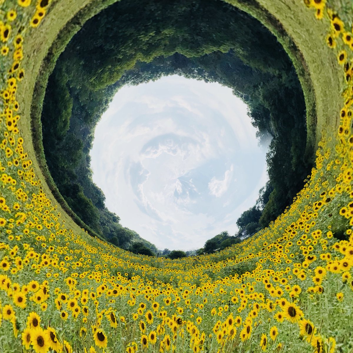 brainfevermedia's tweet image. Curvature of the Earth. #CircularApp