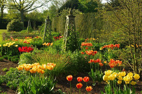 ForestersSussex's tweet image. Looking for something to entertain the kids this weekend? Take them out to #Fittleworth and #Upperton Open Gardens followed by cream teas at Tillington Village Hall. bit.ly/2mRVR2U