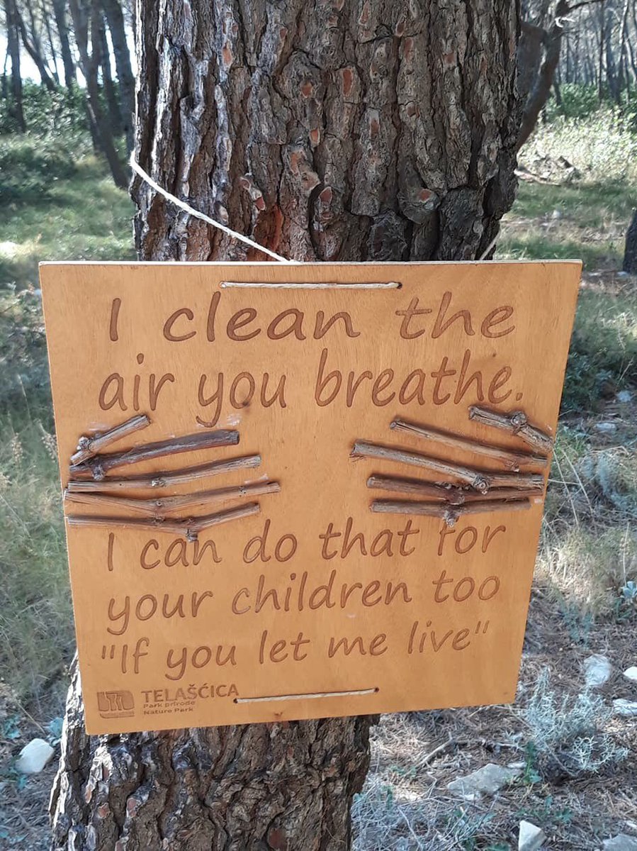 🌳<a href="/arborsmarty/">Trees etc.</a>