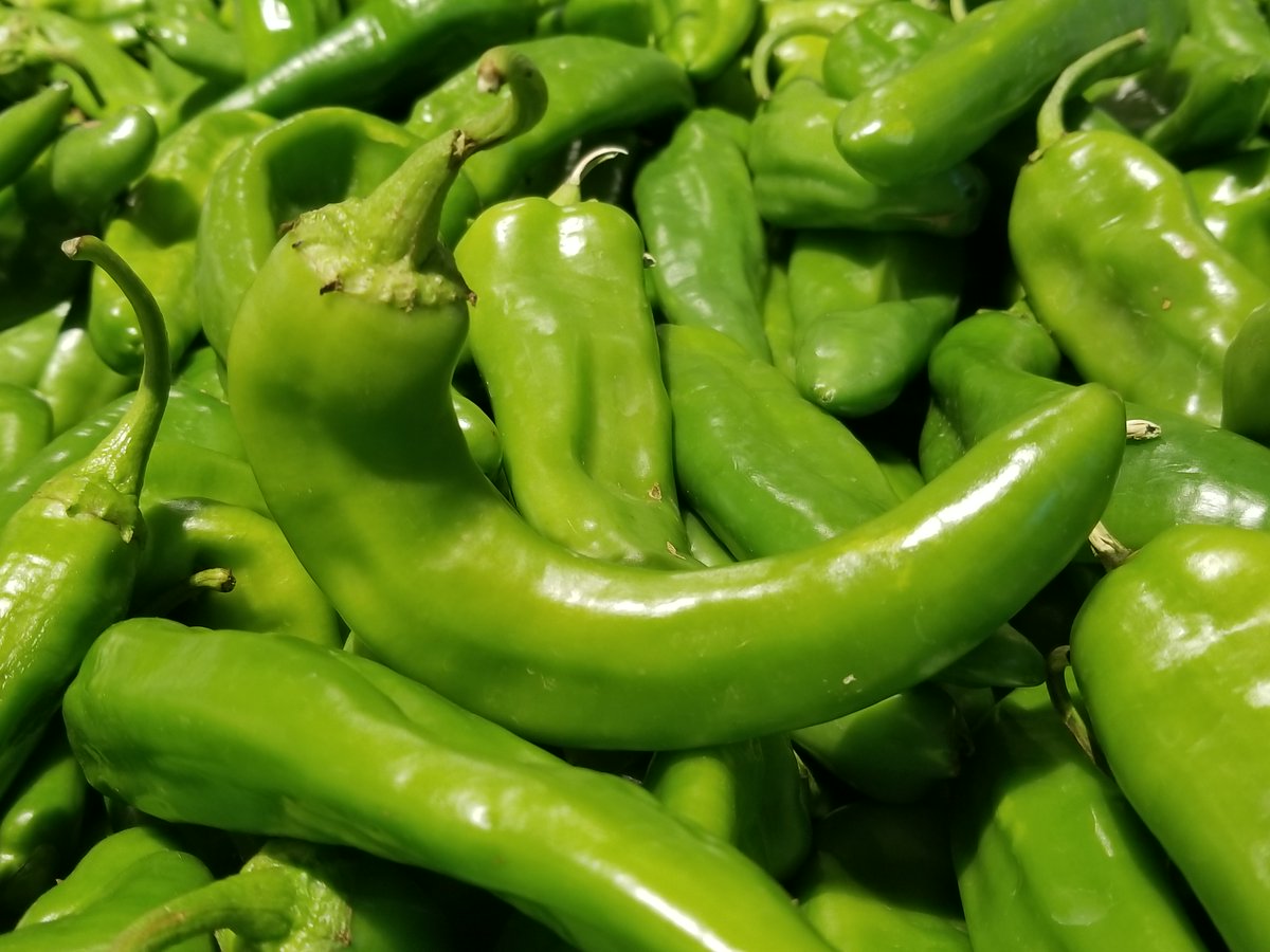 SheSaved's tweet photo. Boise friends! The #HatchChiles have arrived at the new @Albertsons on Broadway in #Boise & they are FANTASTIC! #ad
Make sure to stop by to see what all the fuss is about and why we are obsessed with these beauties!
Details: https://t.co/RmJqq9iBwg
#AlbertsonsPartner #EatLifeUp https://t.co/JNu1iKVy69