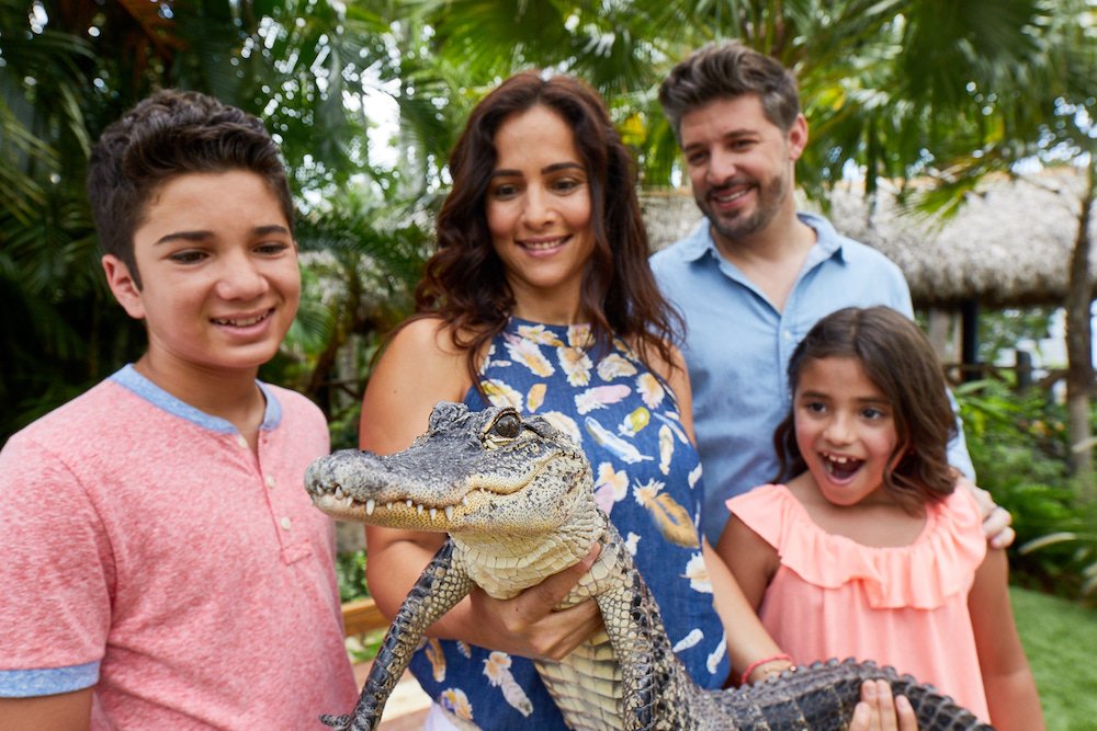 JungleQueenFL's tweet photo. This could be you tomorrow. You are always welcome aboard Jungle Queen - Any day, every day! PS - Bring family and bring friends. Come one, come all! #JungleQueenIsland #DiscoverFtLauderdale #IslandAnimals #MakeItAMemory #CantWaitForTheWeekEnd https://t.co/0MPuXfOFZg https://t.co/FpZng24pQj