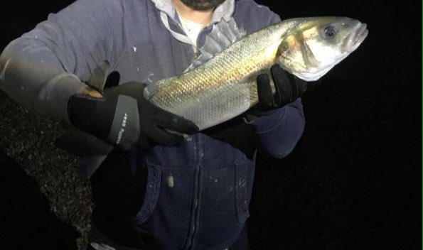 From #fighter to #fishermen.. #bass #seafishing #beachfishing #ukfishing