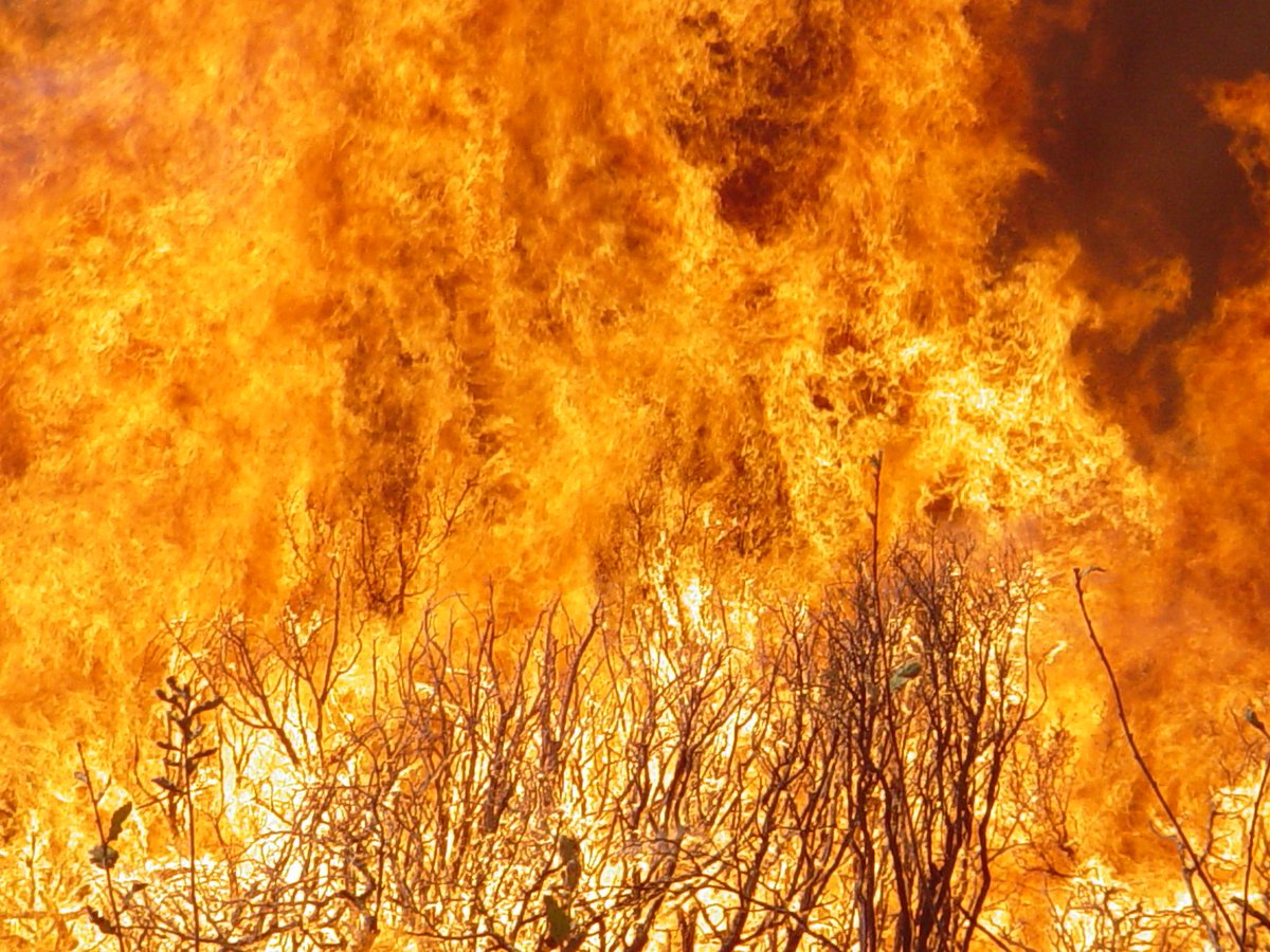 CAL FIRE SAN DIEGO on Twitter "RangelandFire [update] The fire is now