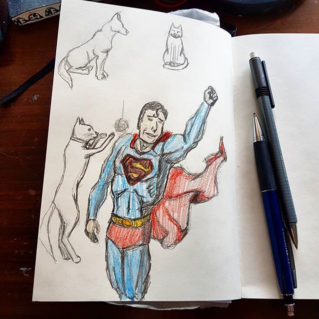 inkiebeard's tweet photo. Some animals anatomy and an attempt at #superman
#inkiebeard #sketch #drawing #The100DayProject #inkiebeardgetsbetter #fanart https://t.co/KI5rinDwUv