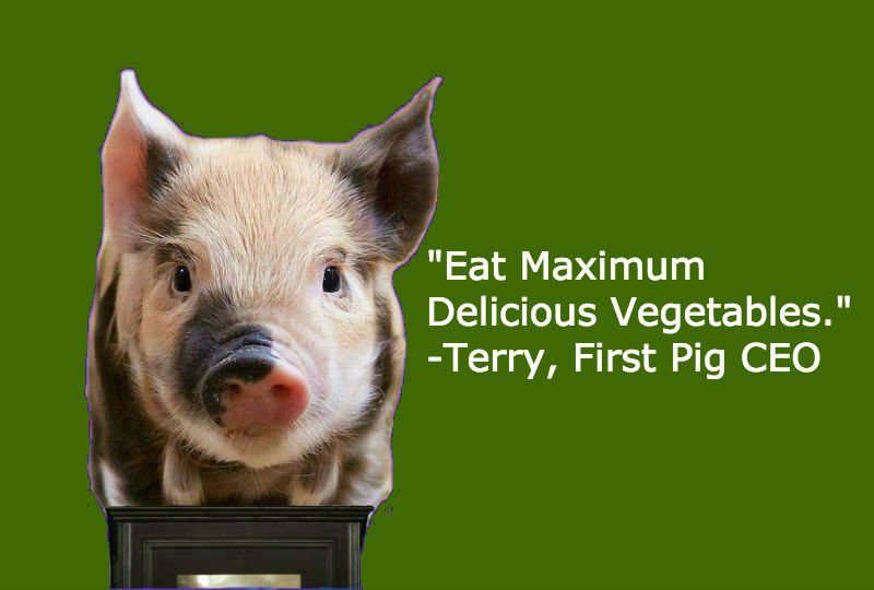 Pig_CEO's tweet photo. Meat Leads To Heart Disease And Death. Veggertables Are Much Better. Stick With The Vegges For A Long Life And Good Health. #Farm #Life #Conference #FarmLifeConference #Yum #Delicious https://t.co/JM7Rasj6qh