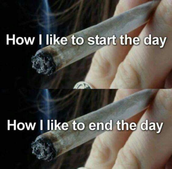 MysticPenny1776's tweet photo. #dailyhaiku 
A start and finish
And many more inbetween
Cannabis is health
#cannabis #KeepItSimpleStoners #IAmCannabis #ThursdayMotivation @The_Real_WB @_jena4n @Hippie_of_Love @uhnanihmuss @HeavyFknMetal @trutherbotChyld @weedpalace11 @HazyHula #420friendly #AlwaysReadytoBlaze https://t.co/cZ0qEfrsgy