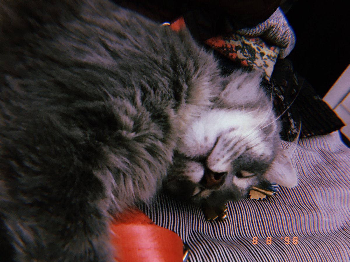 Dashi💚 tweet media