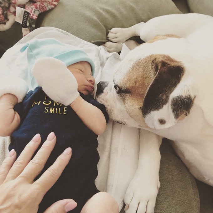 My loves! https://t.co/n33cFyEmpq