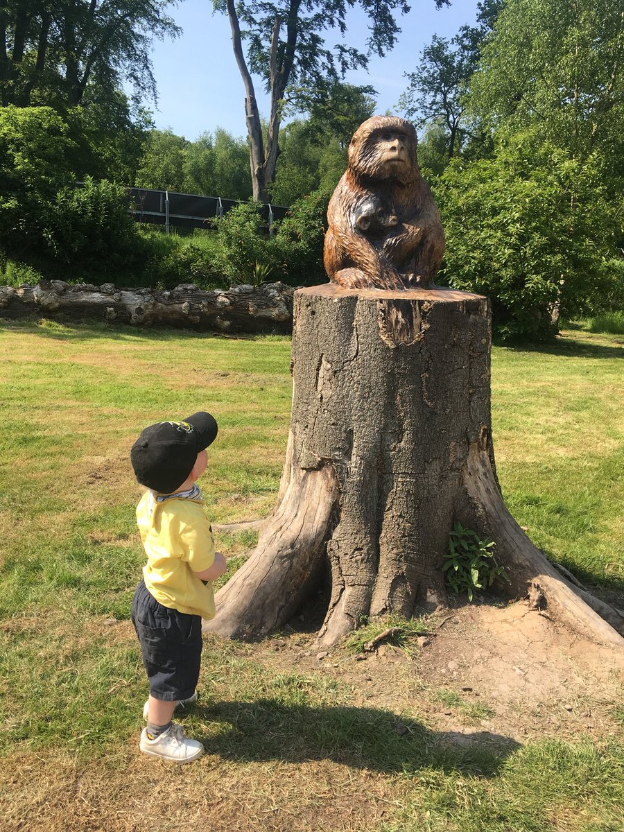 kayl0416's tweet photo. 🐒🐒🐒 #MonkeyPics @Monkey_Forest https://t.co/FZZanwTPIK