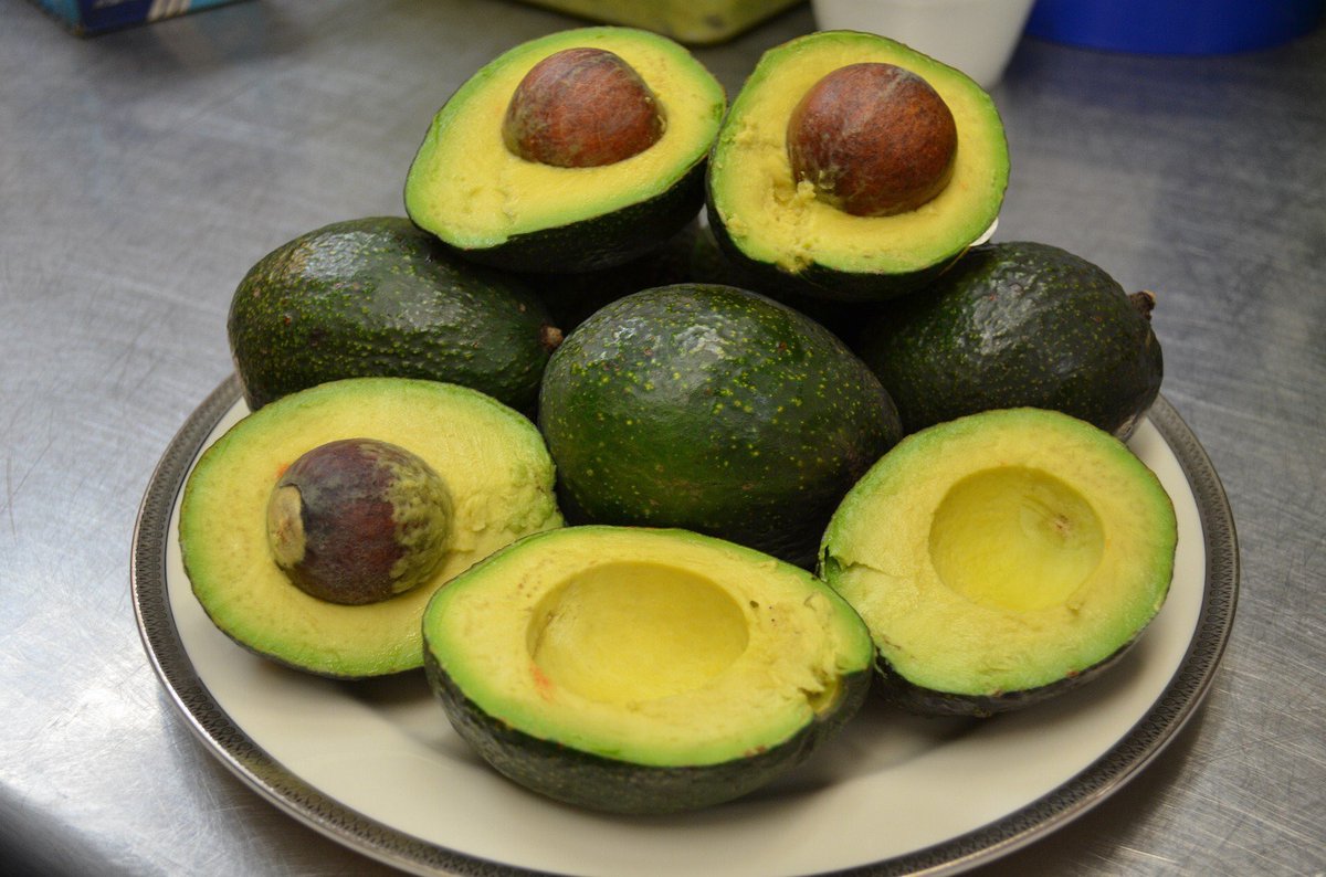 FarmLinkMx's tweet photo. Mexico: Avocado production value increases https://t.co/1W65iIqiQX #freshproduce https://t.co/9T7ZPQUhyj