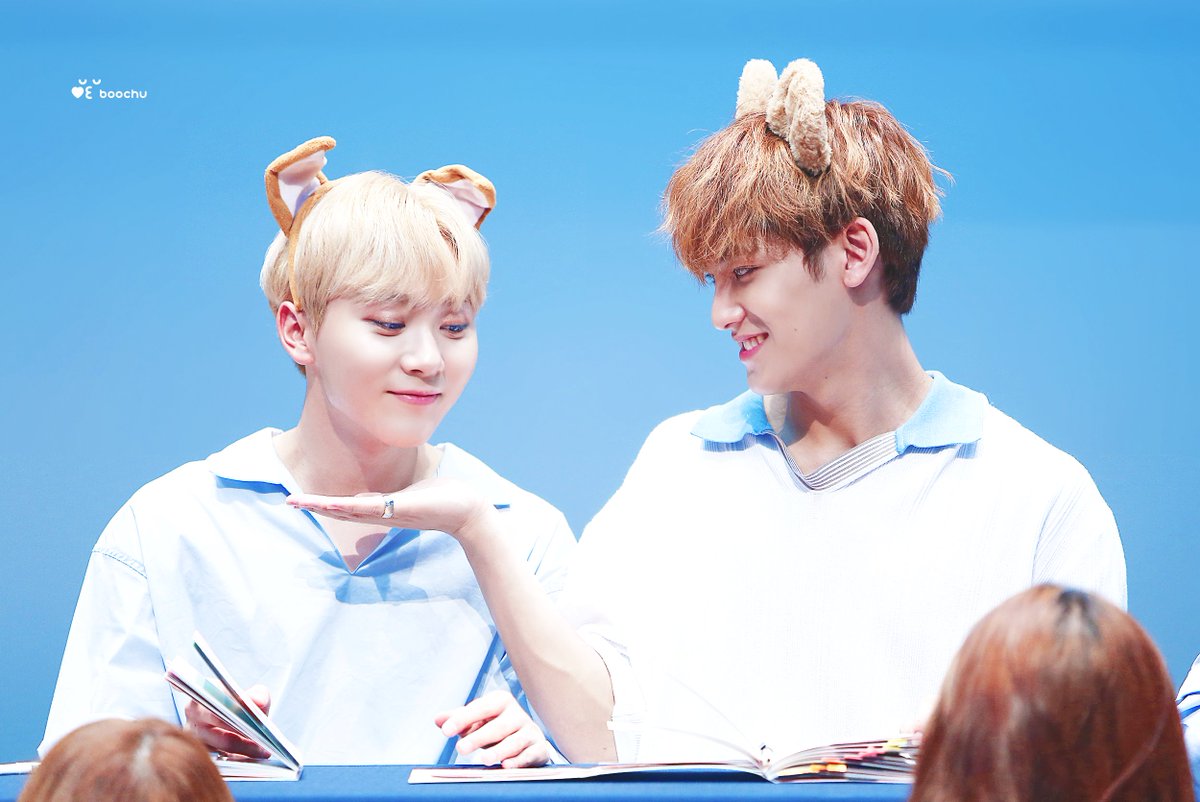 KimMingyuBrasil's tweet photo. [HQ] 21.07.18 #Seungkwan e #Mingyu no fansign no S-Plex Center. 
©booxhu https://t.co/I0hdWuNUUF
