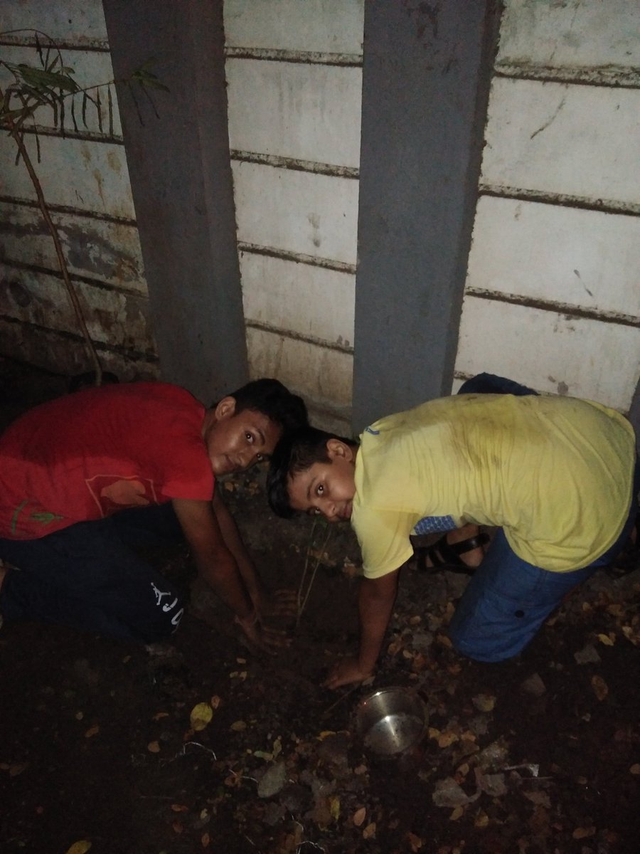 bipingayatri's tweet photo. આજે મારી સાથૅક રેસેડેન્શી સોસાયટીના બાળકો દ્વારા વૃક્ષારોપણ કરવામાં આવ્યું #Goodjobchildren @DarshanaJardosh @narendramodi @Dilip_Deshmukh @AmitShah https://t.co/jkVnEfbozr